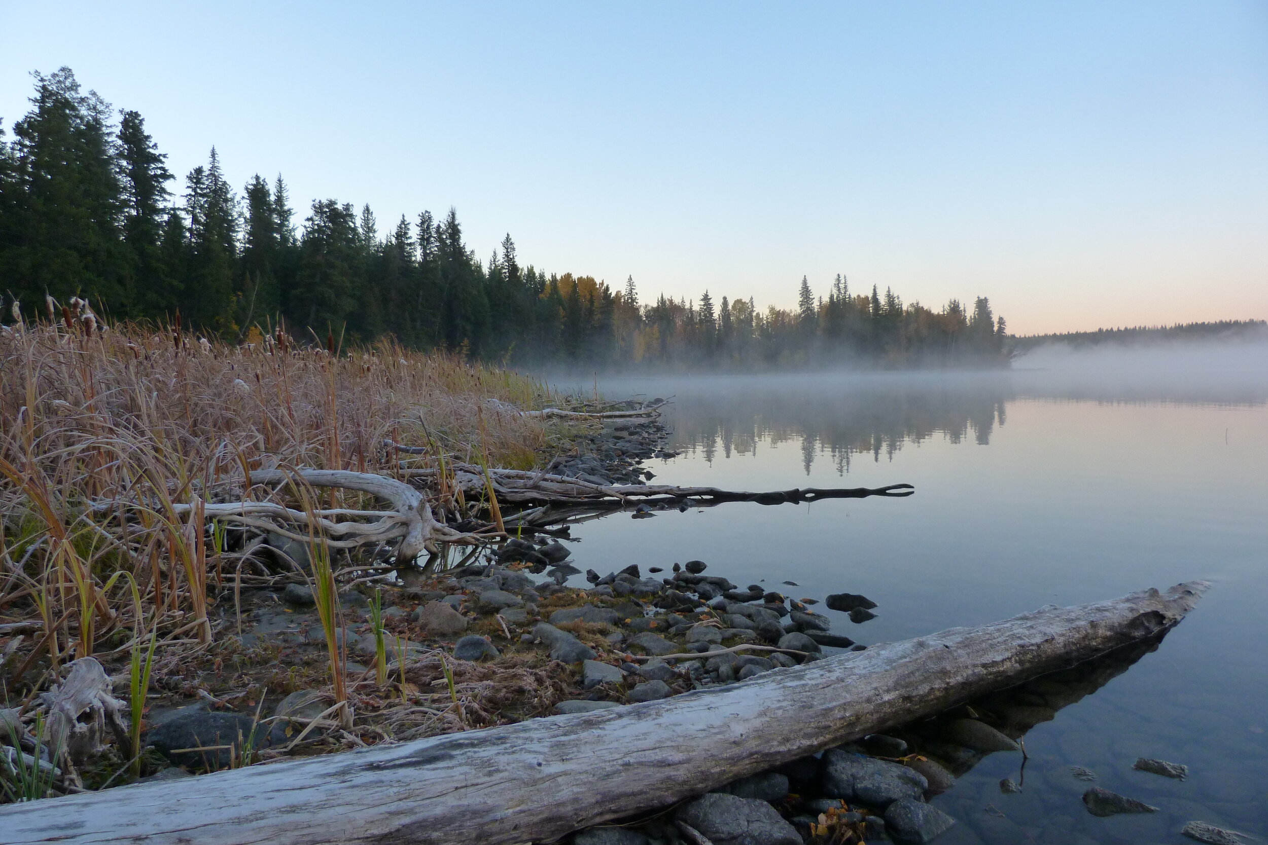 Lake shore